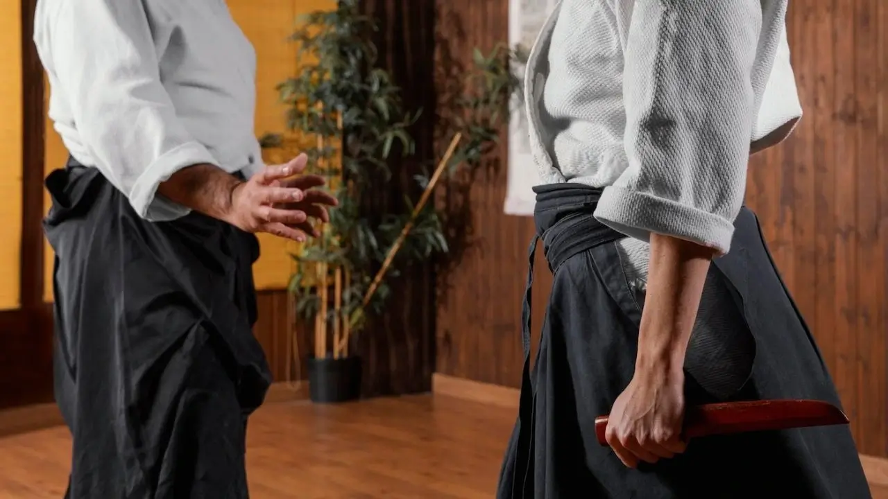 Centros De Artes Marciales Y Mma